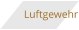 Luftgewehr